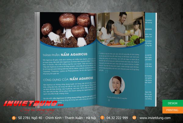 Mẫu catalouge Fucoidan, Mẫu catalogue giới thiệu sản phẩm đẹp ấn tượng
